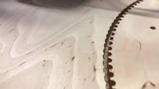 8mm timing belt pulley