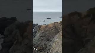 Portuguese Beach Bodega Bay with Aaron, Rebecca and Terance