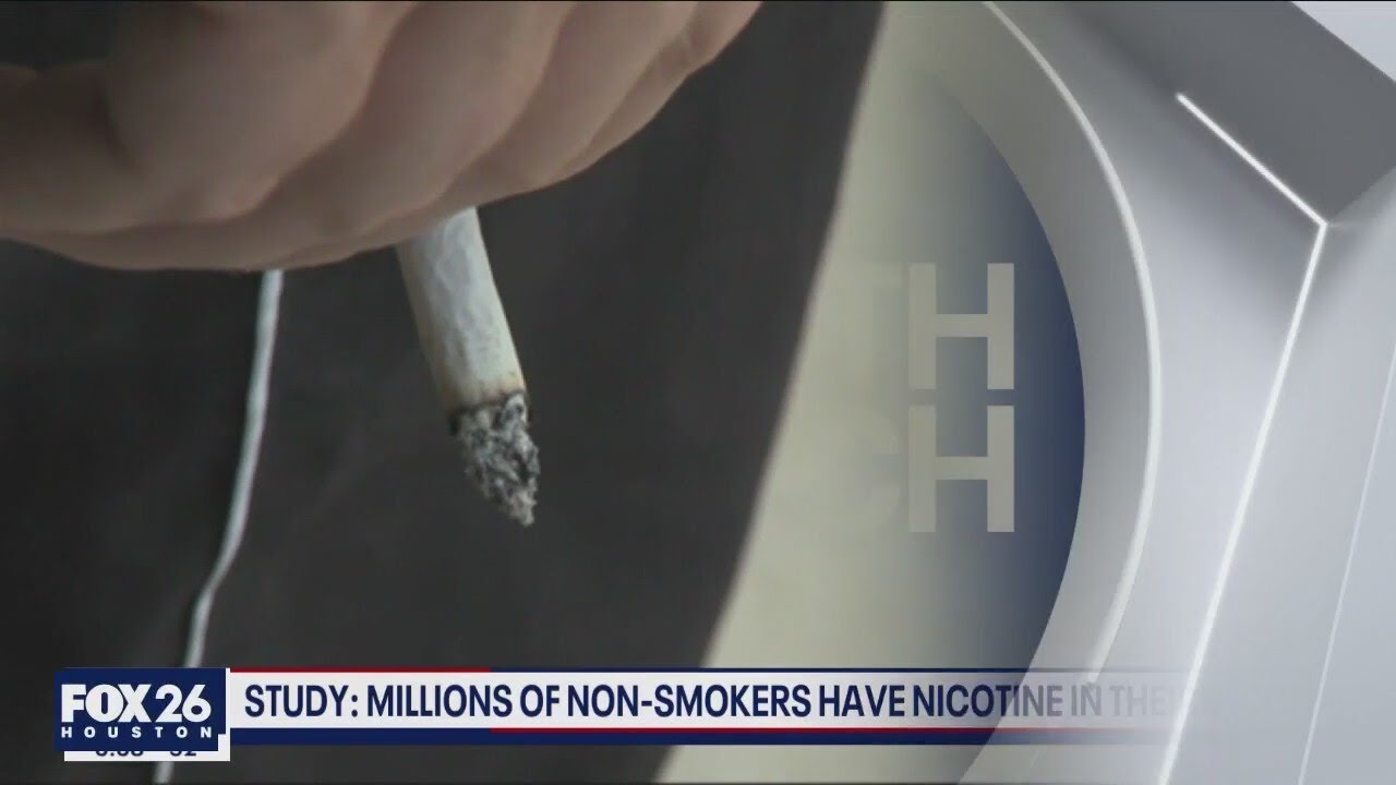 tobacco pouch brands australia Albanese government condemns 'widespread marketing' of nicotine pouches to young people | Health tobacco pouch brands australia Albanese government condemns 'widespread marketing' of nicotine pouches to young people | Health