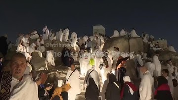 Timelapse video shows pilgrims climbing Mount Arafat during Hajj