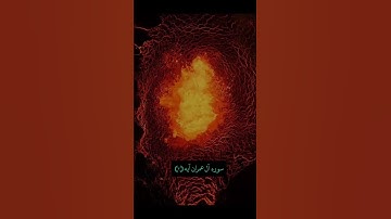 سوره آل عمران آیه (۴)🕋🕌🌹💙دوستان گلم حمایت ❤قرآن پیام حق است از جانب پرودگار #قرآن #قران_الكريم #قرآن