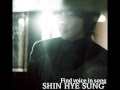 Shin Hyesung - コトバにできない