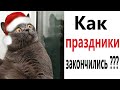 ПРИКОЛЫ! КОГДА ЗАКОНЧИЛИСЬ ПРАЗДНИКИ!!! Угарные МЕМЫ, смешные истории от Доми шоу!