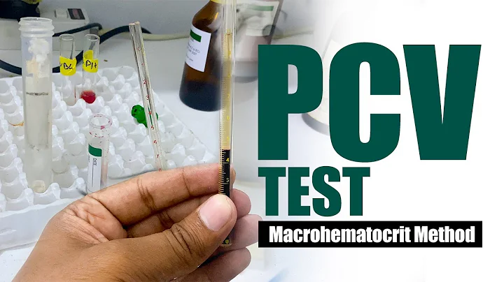 Packed Cell Volume Test ( PCV Test ) | Macrohematocrit Method | Wintrobe tube method