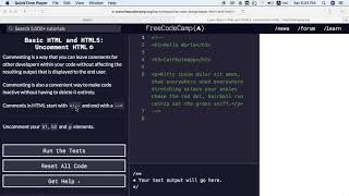 Famous Uncomment HTML | freecodecamp Wealth