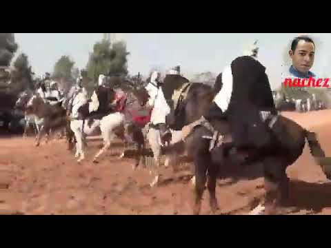 جميلة العنابية ادوني بلاد الشاوية Chaba Djamila Elanabia Edeni Bled Echaoiya