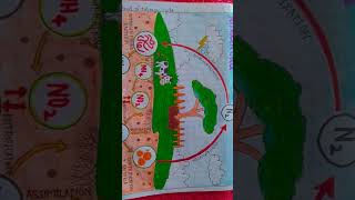 painting of nitrogen cycle Diagram #easy #drawing #viral