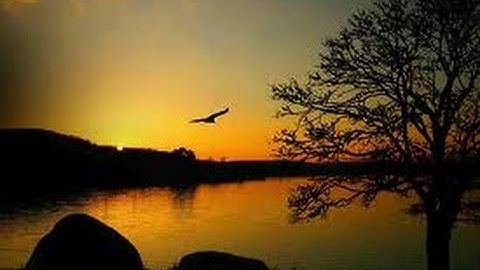 What A Wonderful World  Louis Armstrong lyrics