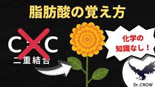 【勉強法】もう迷わない‼︎飽和脂肪酸と不飽和脂肪酸の違い