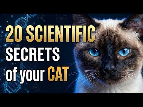 20 Scientific Answers Every Owner Should Know | Why Your Cat Does What It Does
