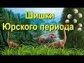 Шишки юрского периода.  Что ели динозавры?