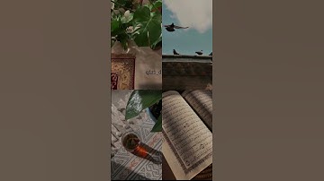 #آيات #الله #تلاوة #حالات #قرآن #قران_كريم #راحة_نفسية #اكسبلور #اذكار #سورة_الكهف #الجمعة