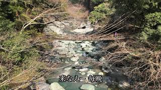 徳島の民謡・童謡・わらべうた｜阿波踊りや地域に根ざした伝統の歌