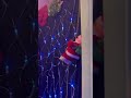 Funny Santa Toy