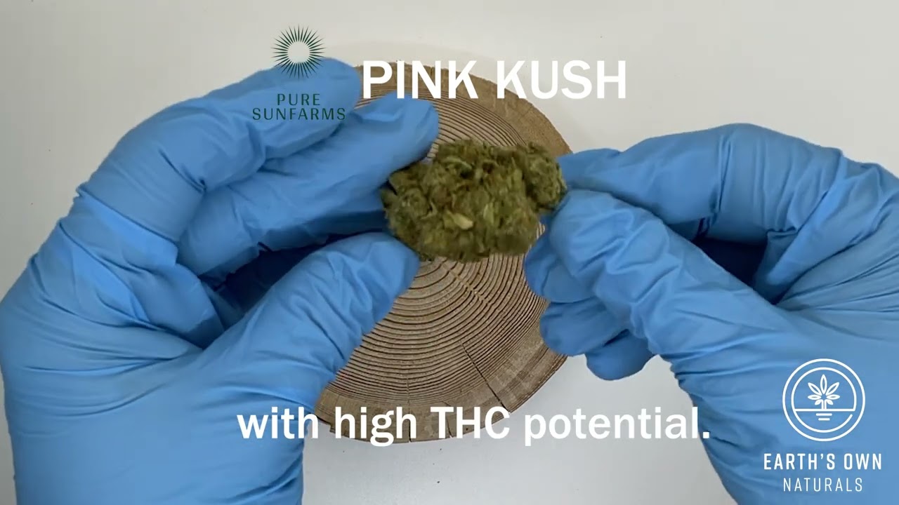 Pink Kush - Pure Sunfarms