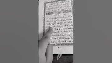 سوره الغاشيه بصوت الشيخ ياسر الدوسري ،🖤🖤