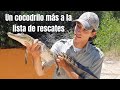 Otro rescate mas | cocodrilo mexicano en lago artificial