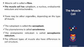 Cell and Tissue Organization Unit 4 Session 1