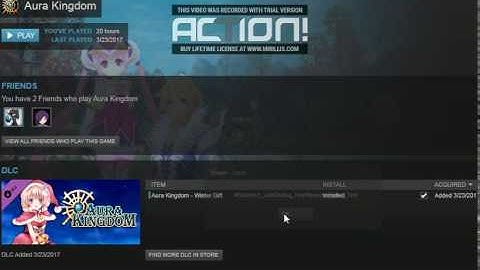 aura kingdom problem