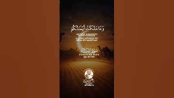 تلاوة رائعة | الشيخ عبد الولي الأركاني #viral #viral #trending #post #اكسبلور #لايك #comment #لايك