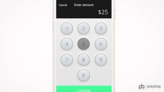 Video Teaser Digital Wallet Paybay screenshot 1