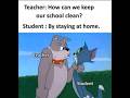 tom and jerry memes #school #teachers #memes #funny #cat