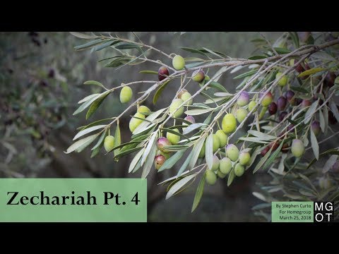 Zechariah Pt 4