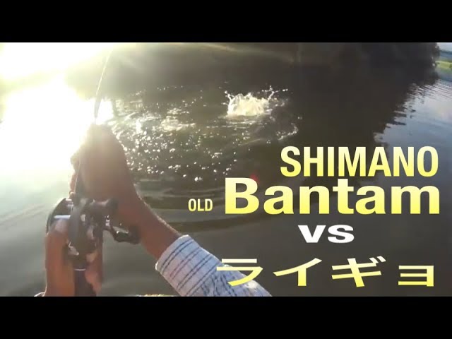 シマノ　バンタム　170H バス釣り　ナマズにも シマノ バンタム 170H バス釣り ナマズにも （ナマズ釣りにバス