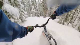 Sno-Go Shifted Built In House