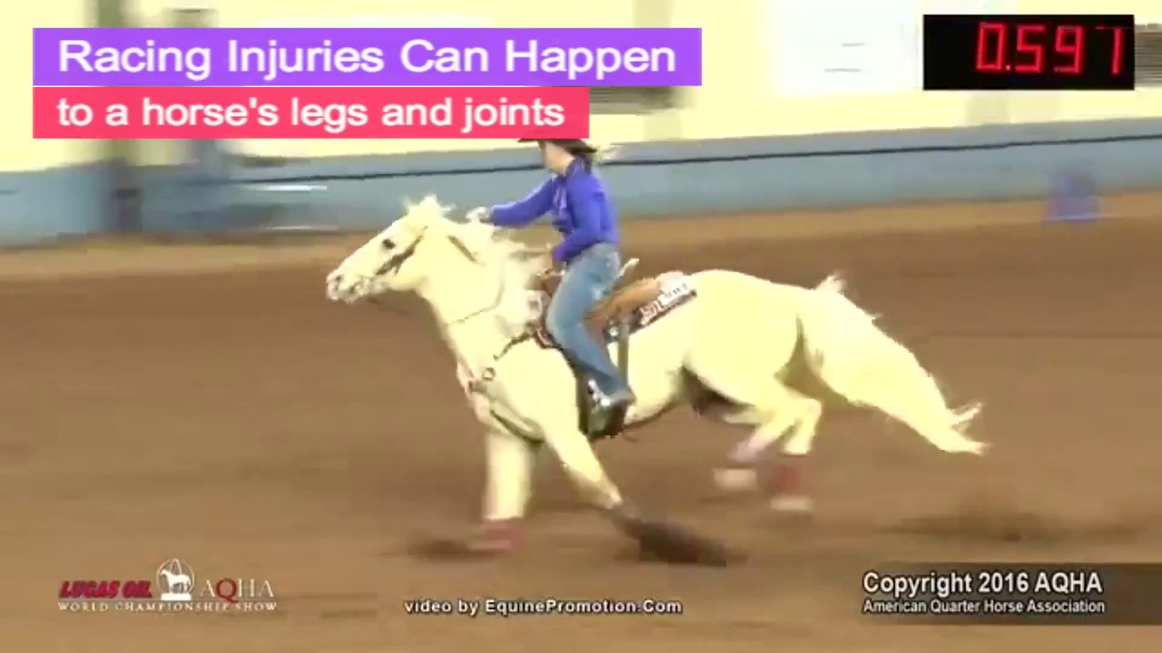 AQHA Barrel Horse Racing and Equine Sports Injuries - YouTube