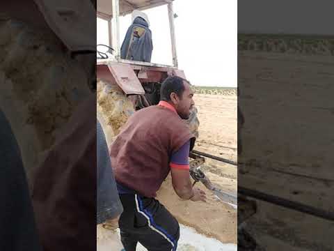 حصاد اللب السوبر تسالى