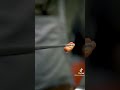 فوائد الملقط شيف شاهين فاطمة العكيلي  شيف شاهين