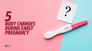 5 Body Changes During Early Pregnancy Final