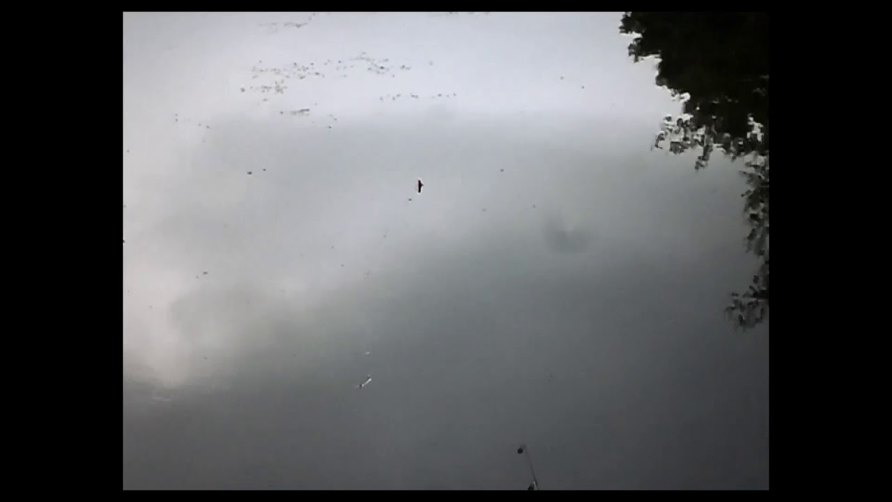 abby lakes fishing pond YouTube