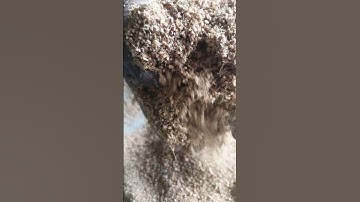 The Best Quality Coco Peat Machine Manufacture Coco Dreams Lanka