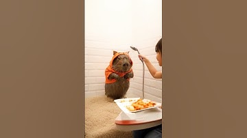 Capybara dính sình nên đi tắm | LIKE SNACKS@ | ẩm thực trên cây chuối #food  #fruit