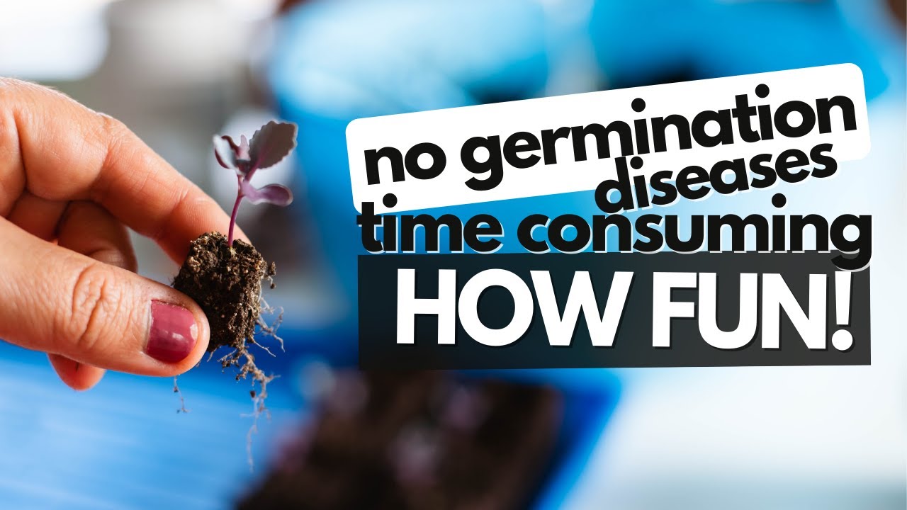 The Thrill of Starting Seeds Indoors: Hours of Fun, Zero Results Guaranteed!