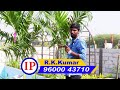 House for Sale in Ponneri | Villa | Resort Type Plots in Ponneri | Ponneri DTCP Approved Plots