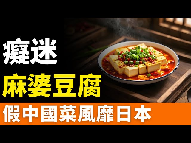 麻婆豆腐大全 なぜ?こんなに日本の家庭に普及したの!? 麻婆豆腐