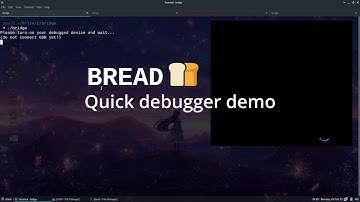 BREAD: BIOS Reverse Engineering & Advanced Debugging demo
