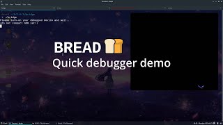BREAD: BIOS Reverse Engineering & Advanced Debugging demo