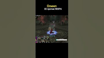 Олимп lineage2, ЕЕ и некр ⚔️                                     #lineage2 #олимп #ЕЕ #некр #линейка