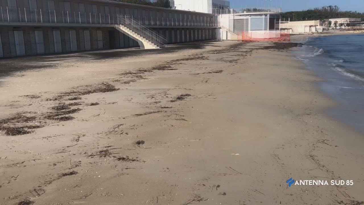 YouTube player