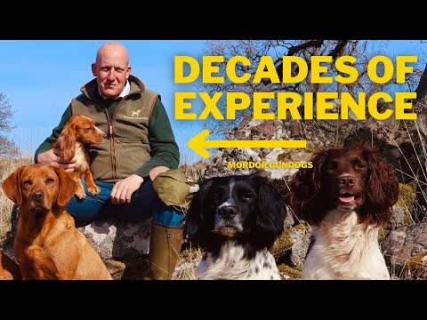 Common Dog Training