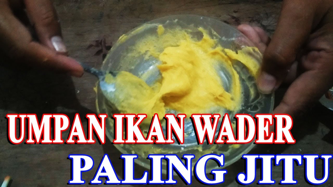 CARA MEMBUAT UMPAN WADER PALING JITU 