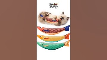 Catnip Fish Toys for Cats – 3 Pack Soft Plush Kicker Set #catlovers #petcare #amazonfinds