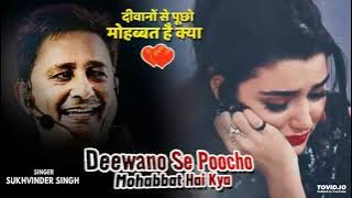 Diwano Se Pucho Mohabbat Hai kya