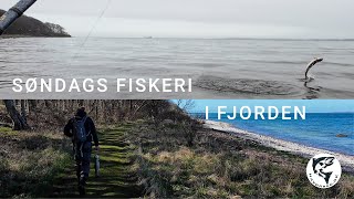 Havørred 🐟 Fiskeri 🎣 Søndag i fjorden gav fisk