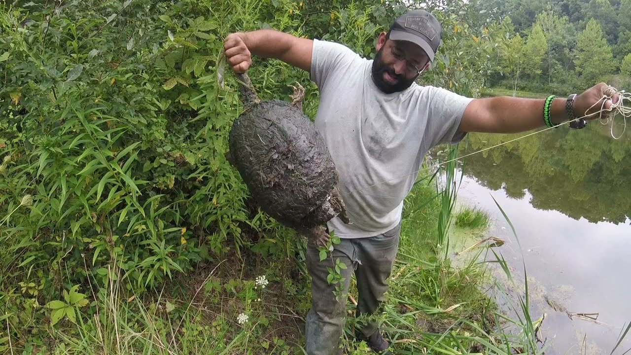 Trappers Of The Water! Turtle Trapping 2023 Public Land - YouTube
