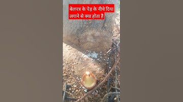 बेलपत्र के पेड़ के नीचे दिया किस दिन लगाना चाहिए।#shorts #pradeepmishra #shivpuran #youtubeshorts
